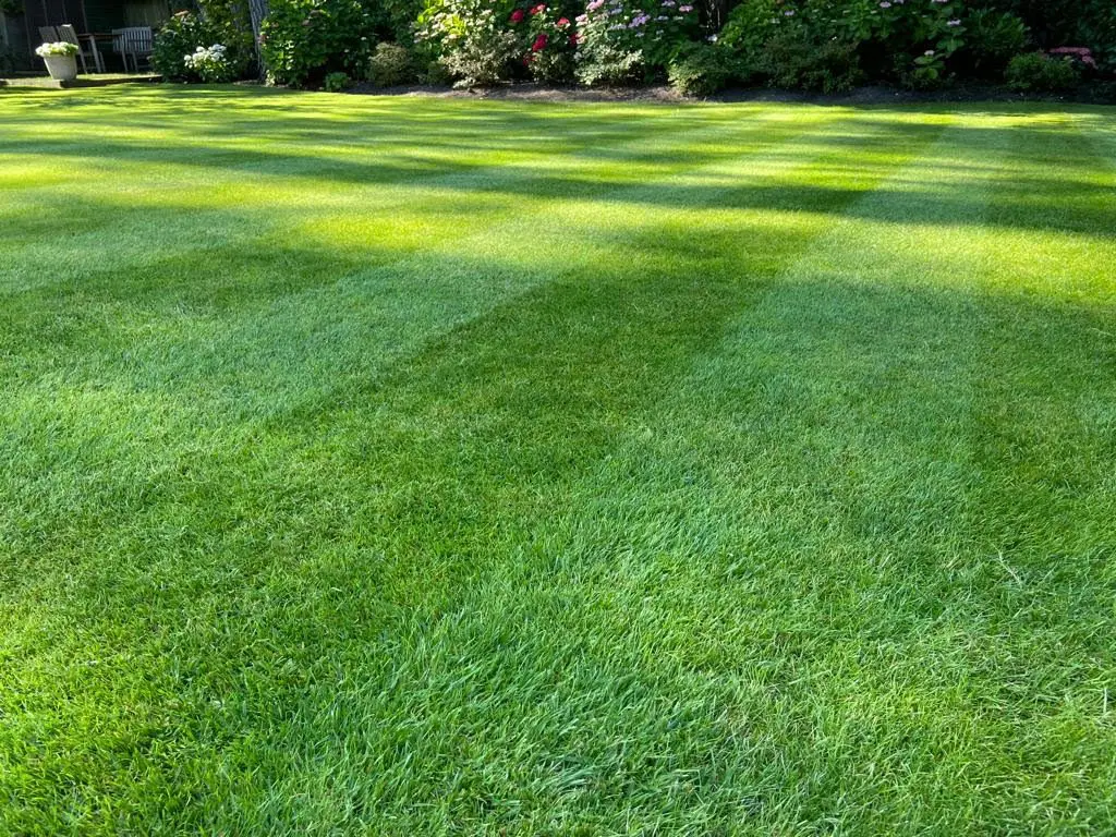 A picture of a beautiful lawn, Lawnscience Sherburn in Elmet Lawn Care